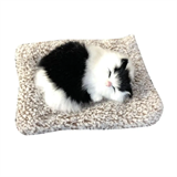 Кошечка с ковриком мягконабивная ХХА2000-1109/300/Н ХХА2000-1109